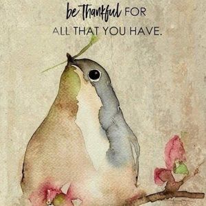 Meet your Posher, Karen